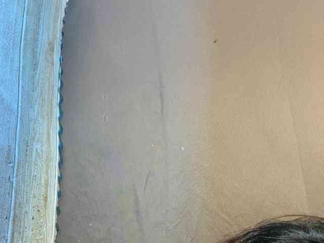 Rainie webcam