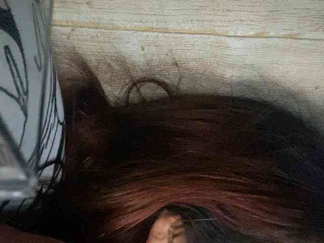 Rainie webcam