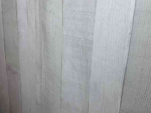 Rainie webcam