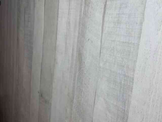 Rainie webcam