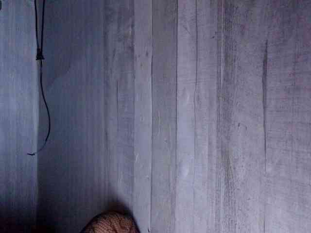 Rainie webcam