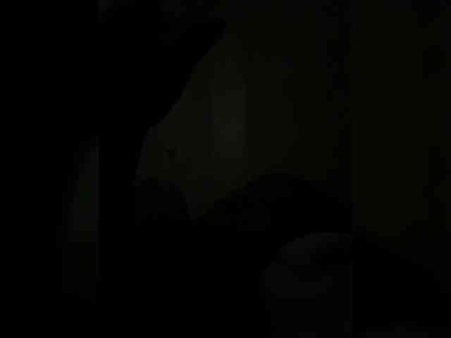 rasberrykat webcam