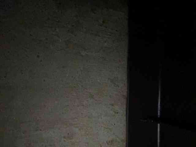MoonFlowers webcam
