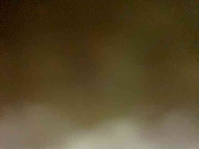 Rainie webcam