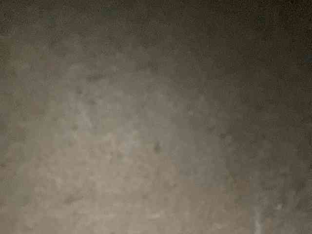 Rainie webcam