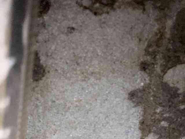 Rainie webcam