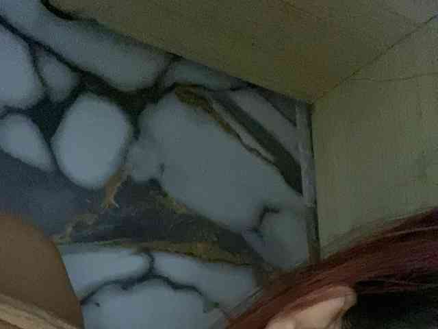 Rainie webcam