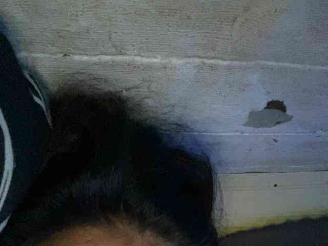 Rainie webcam