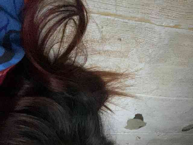 Rainie webcam
