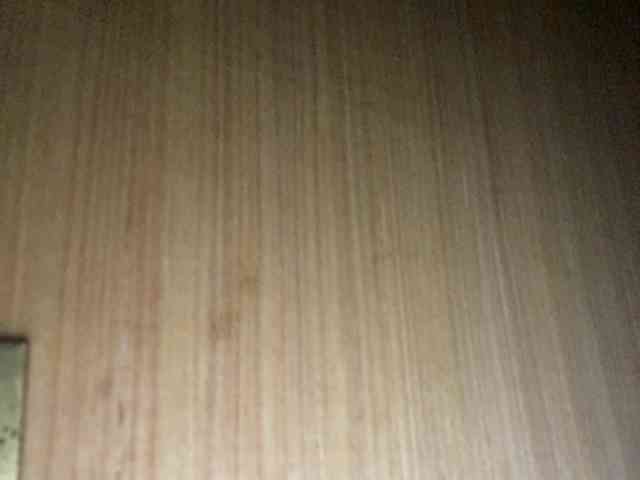 Rainie webcam