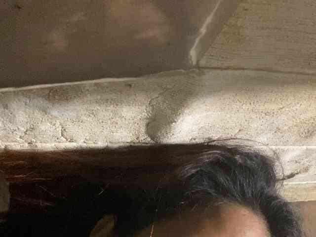 Rainie webcam