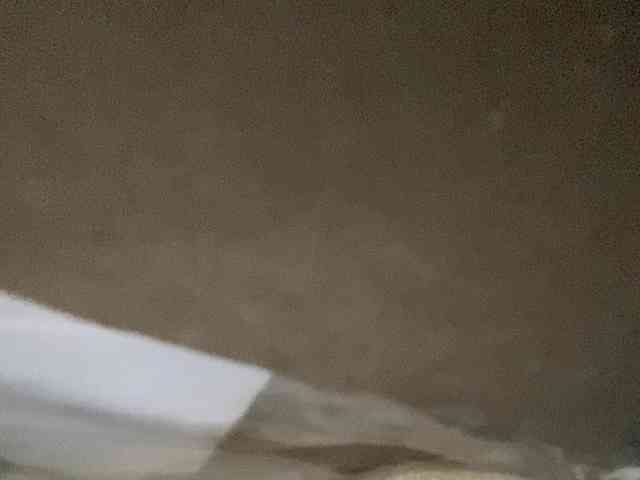 Rainie webcam