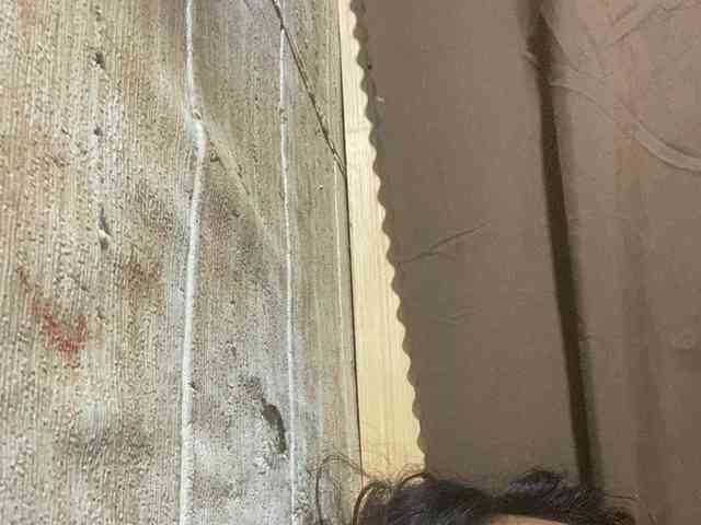 Rainie webcam