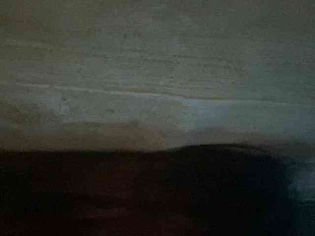 Rainie webcam