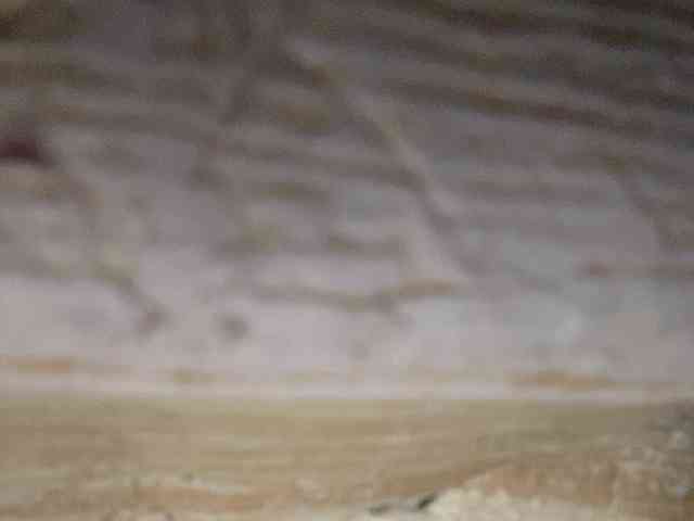 Rainie webcam