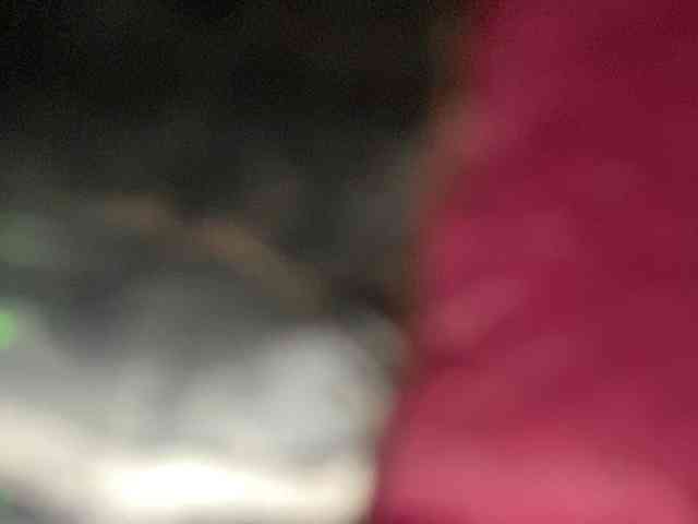 Rainie webcam