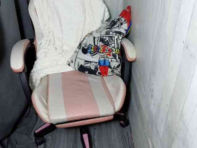 Rainie webcam