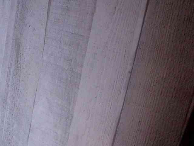 Rainie webcam