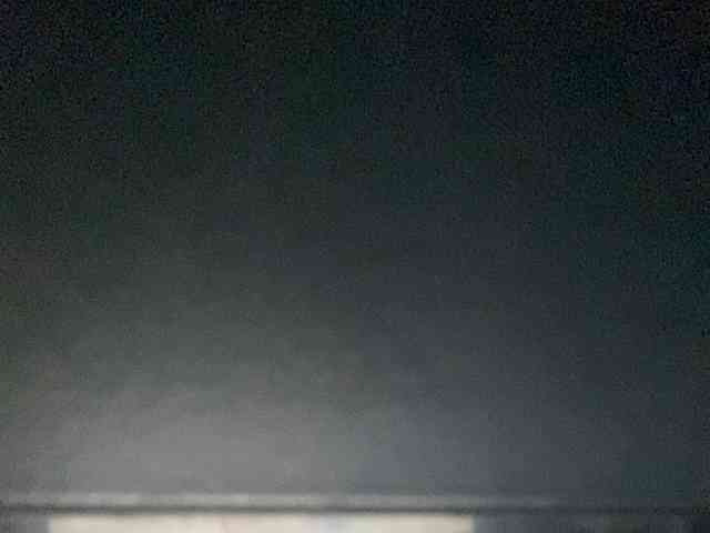 Rainie webcam