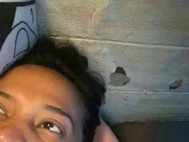 Rainie webcam