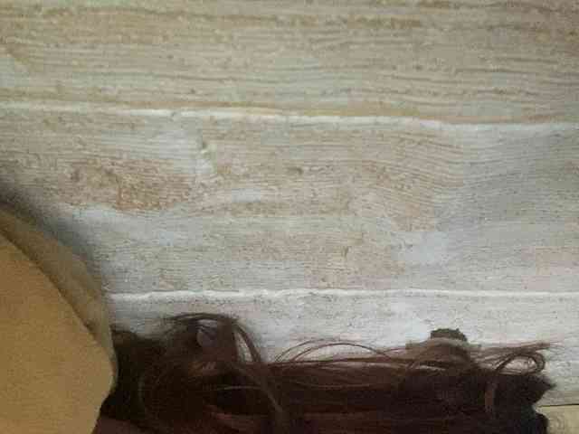 Rainie webcam