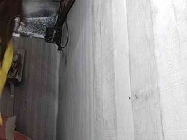 Rainie webcam