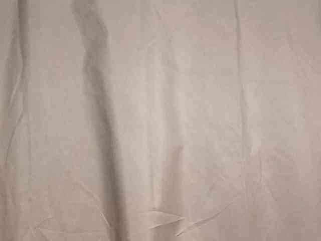 Rainie webcam