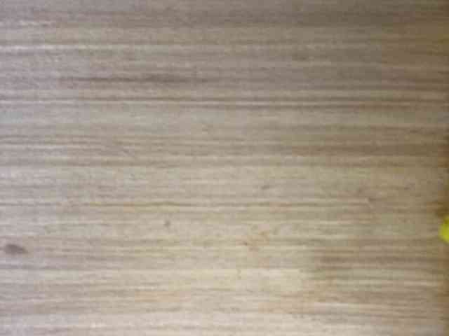 Rainie webcam