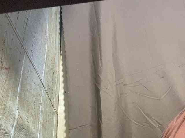 Rainie webcam