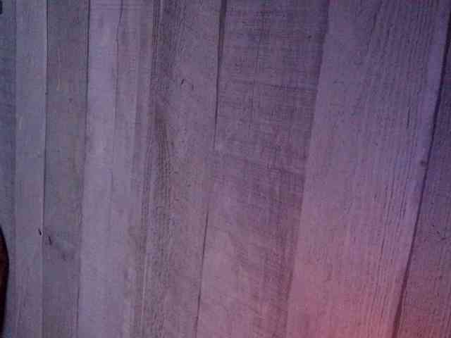 Rainie webcam