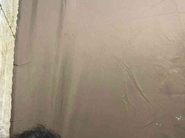 Rainie webcam