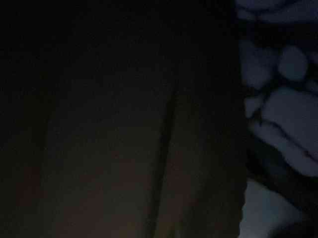 Rainie webcam