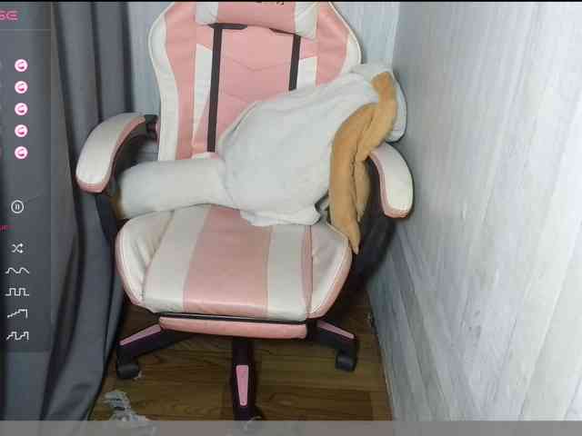 Rainie webcam