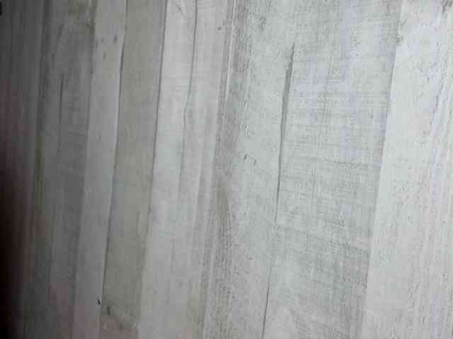 Rainie webcam