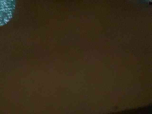 Rainie webcam