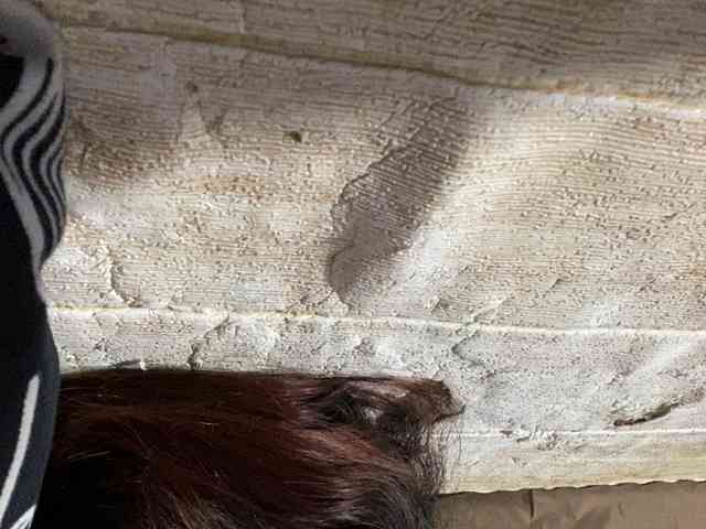 Rainie webcam