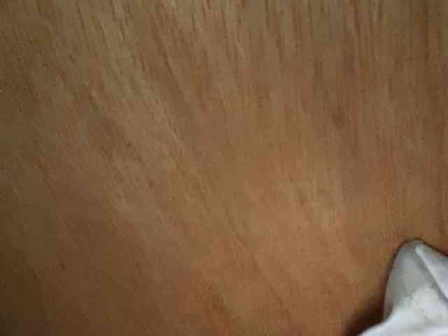 Rainie webcam