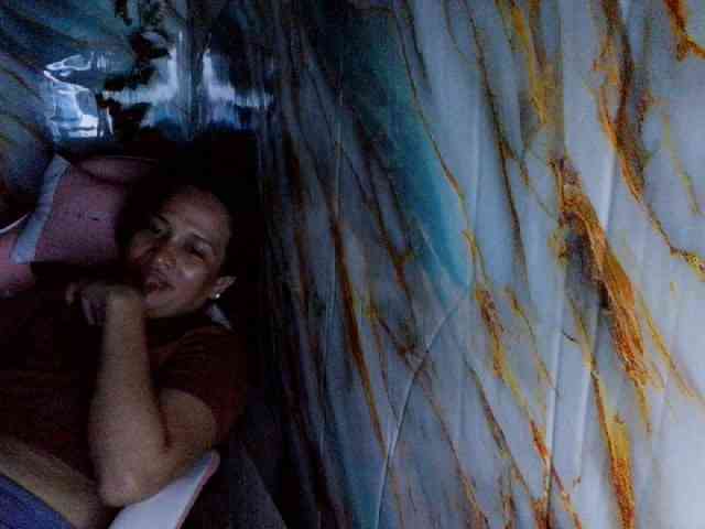 rasberrykat webcam