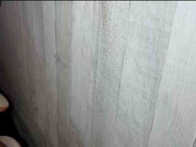 Rainie webcam