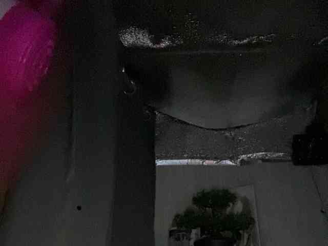 Rainie webcam
