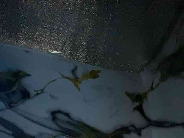 Rainie webcam