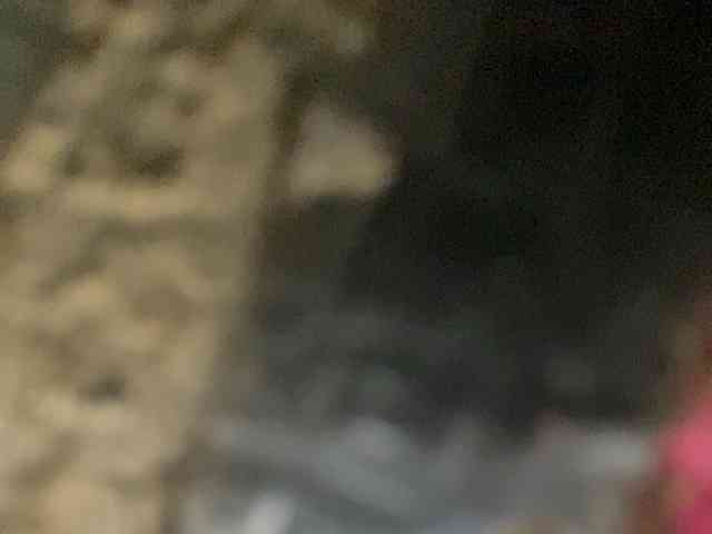 Rainie webcam