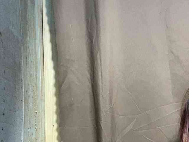 Rainie webcam