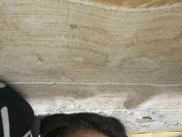 Rainie webcam