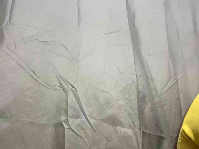 Rainie webcam