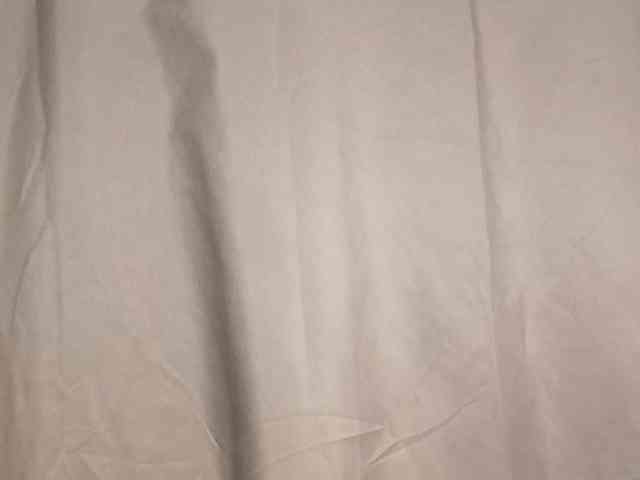 Rainie webcam