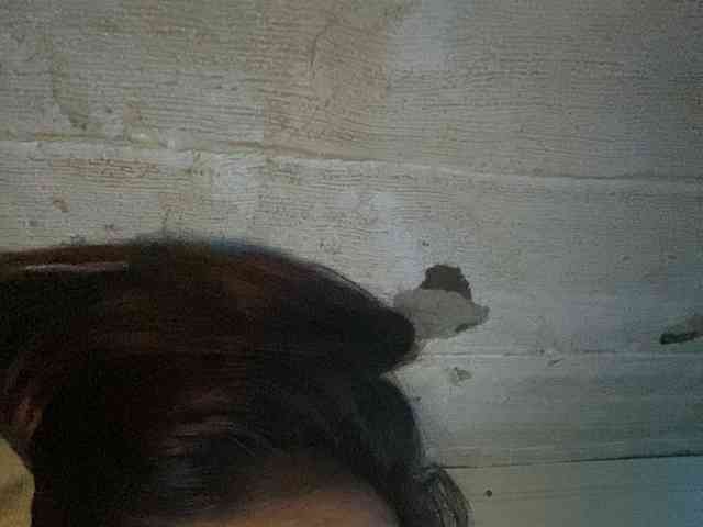Rainie webcam