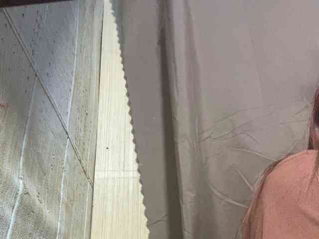 Rainie webcam