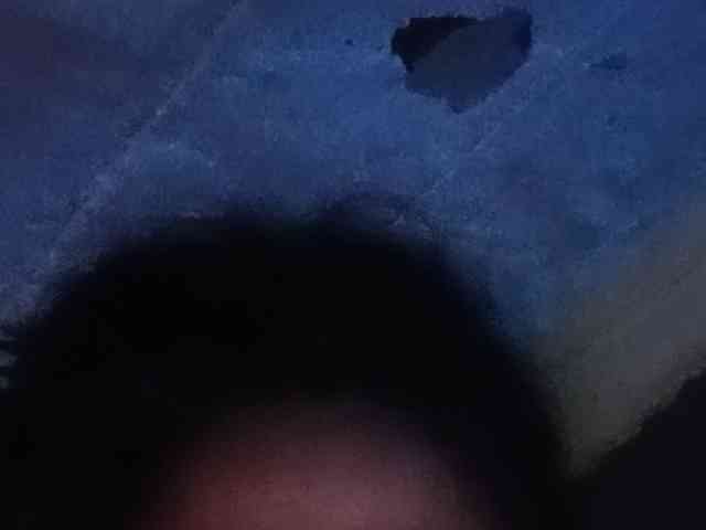Rainie webcam