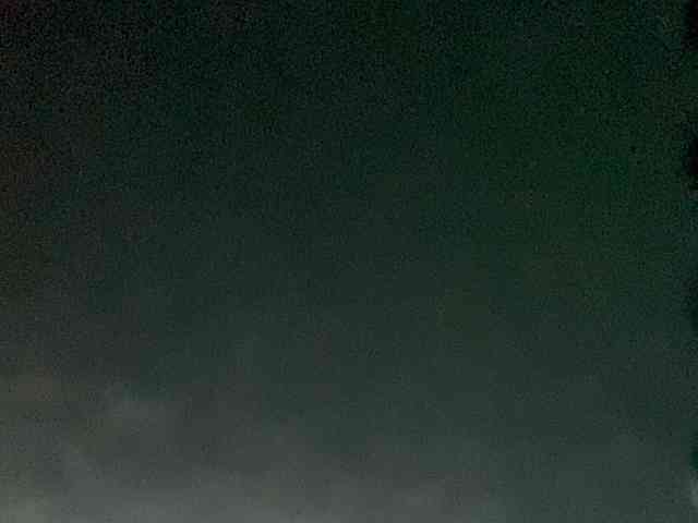 Rainie webcam